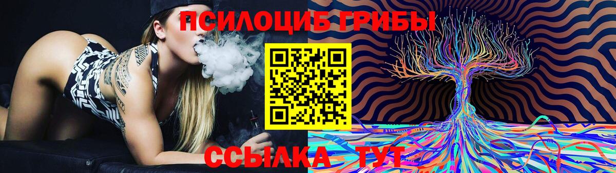 Псилоцибиновые грибы Cubensis Нефтекумск